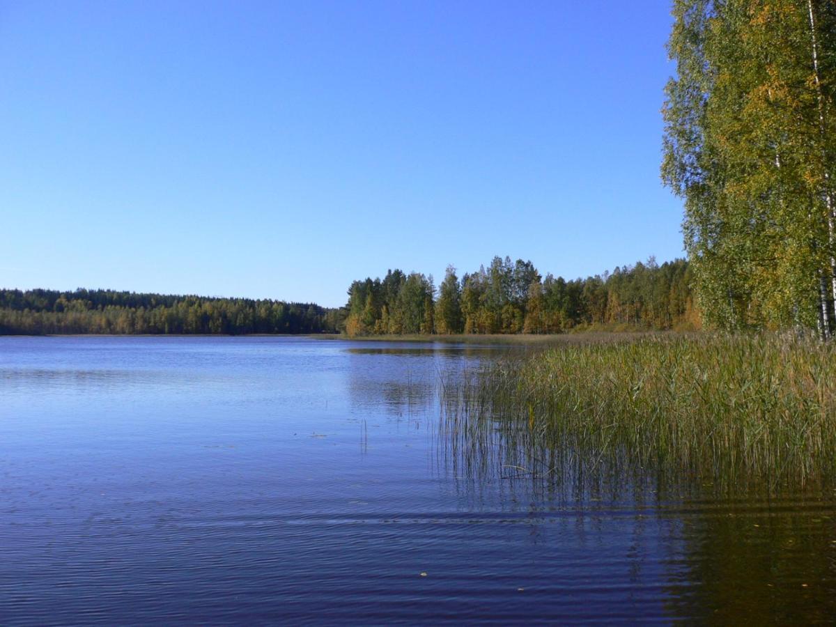 Vanha-Paelsilae Lakeside Farm Kuhmoinen Eksteriør billede